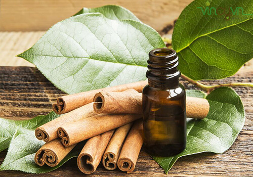 tinh dầu quế 2